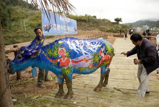 280004xcitefun bull painting festival 5