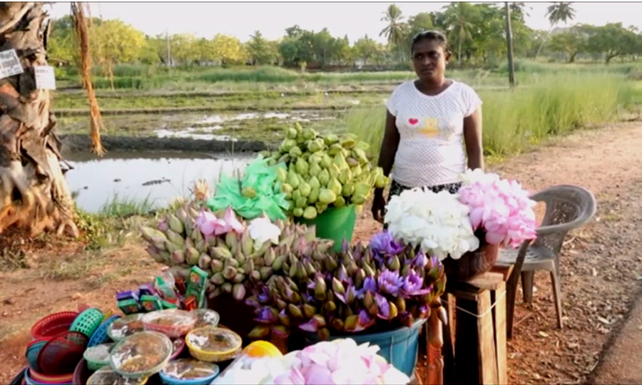 flowerssllers px 900 19 05 