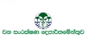 වන සංරක්ෂණ දෙපාර්තමේන්තුවේ උද්‍යාන - බංගලා වැසේ