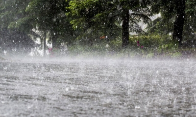 නිරිත දිග මෝසම ක්‍රමයෙන් ස්ථාපිත වෙයි