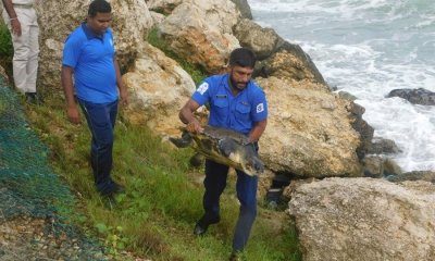 නාවික හමුදා සහායෙන් කැස්බෑවෙකු බේරා ගැනේ