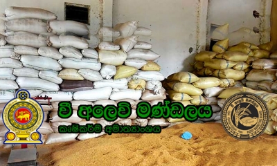 මහ කන්නයේ වී මිලදී ගැනීම අද සිට