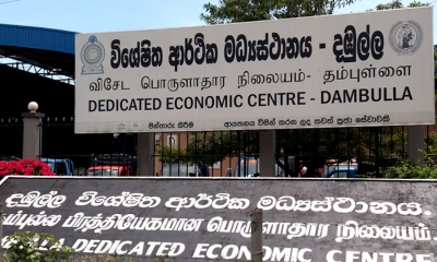 දඹුල්ල ආර්ථිකයේත් PCR පරීක්ෂණ