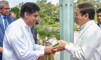 යහපත් රාජ්‍ය පාලනයක් සඳහා ආණ්ඩුක්‍රම ව්‍යවස්ථාවේ 18 හා 19 සංශෝධන අහෝසි විය යුතුයි; ජනපති