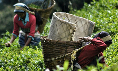 කම්කරු දිනයේ කම්කරු වැටුප ඉහළට