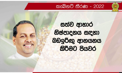 සත්ව ආහාර නිෂ්පාදනය සඳහා අවශ්‍ය ධාන්‍ය ආනයනය අවසර