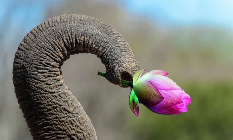 මහින්ද හොඬවැලට පොහොට්ටුව දීලා විශ්වාසභංගය පරාජය කළා