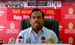 පෞද්ගලික අංශය සමග තරගකාරීව වී මිලදී ගැනීමට රජය සූදානම්