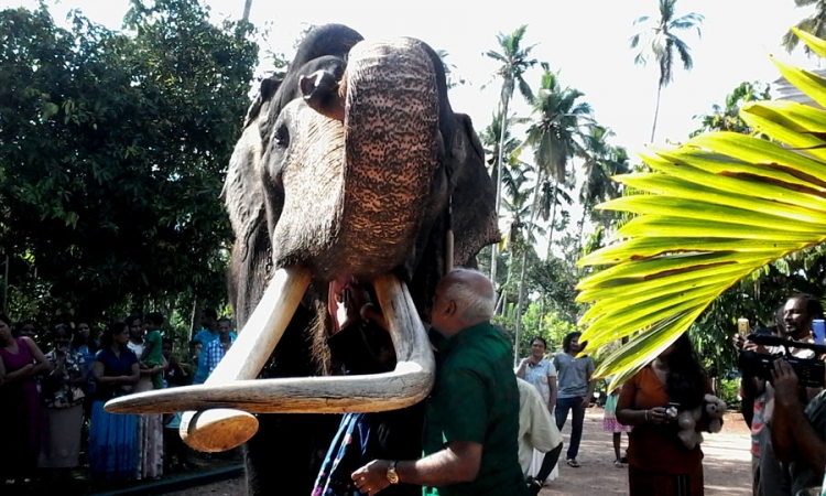 අද තිබු නැකැතට නැදුම්ගමුවේ රාජාත් තෙල් ගානී