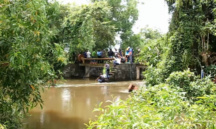 හැමිල්ටන් ඇළ නඩත්තු නොකිරීමෙන් ප්‍රදේශවාසීන්ට පීඩා