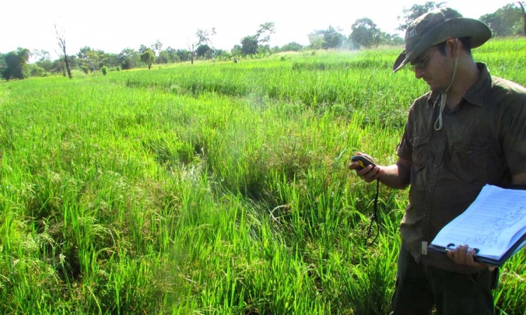 උතුරේ හානියට පත් කුඹුරුවලට වන්දි