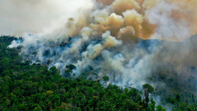 ඇමසන් වනාන්තරය මහා පරිමාණයෙන් විනාශ වීමේ අවදානමක්...