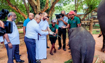 ශ්‍රී ලංකාවේ පළමු ‘නයිට් සෆාරි ‘උද්‍යානය ලෙස පින්නවල නම් කිරීමට අවධානය