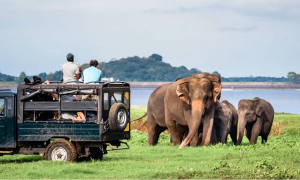 ලක්ෂ 8ටත් වඩා සංචාරකයින් මෙරටට