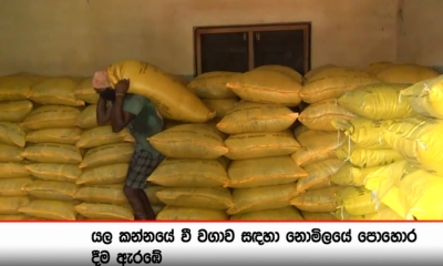 යල කන්නයේ වී වගාවට නොමිලයේ පොහොර