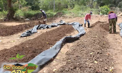 කාබනික පොහොර නිෂ්පාදනයෙන් සාර්ථක ප්‍රතිඵල....(වීඩියෝ)