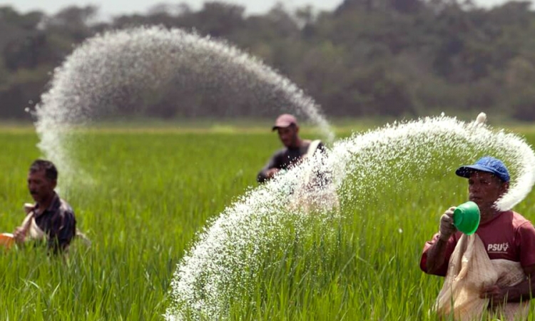 පොහොර ඉල්ලුමේ වෙනසක් ගැන සැකයක්