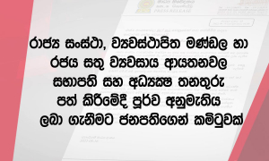 සංස්ථා, මණ්ඩල හා රජයේ ව්‍යවසාය ආයතනවල සභාපති සහ නව පත්කිරීම්වලට කමිටුවක්