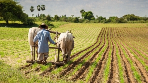 සංවර්ධනය නොකළ ඉඩම් ගොවීන්ට