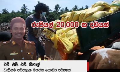 පිළිකාරක පරිප්පු තොගය ගැන මාධ්‍ය වාර්තා අසත්‍යයි; මහජන සෞඛ්‍ය පරීක්‍ෂක