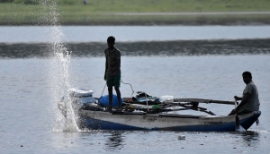 මිරිදිය මාළුවාටත් පාලන මිලක් එයි