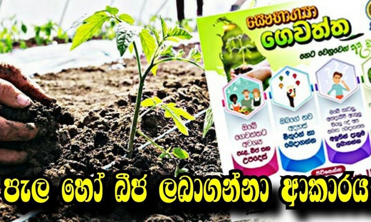 බෝග වර්ග 14ක් ප්‍රචලිත කිරීමේ පළමු පියවර තැබේ