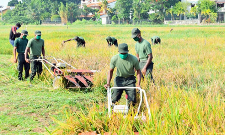 යුද හමුදාවෙන් කෘෂිකර්ම හා පශු සම්පත් බලකායක්