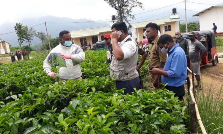 බඹර ප්‍රහාරයකින් තිදරු මවක් මරුට