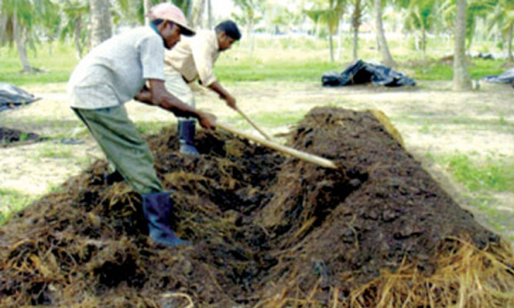 මහකන්නයට අවශ්‍ය කාබනික පොහොර හිඟයකින් තොරව ගොවීන්ට ලබාදීමේ යාන්ත්‍රණය සකසා අවසන් ....