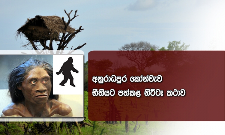 ඇත්තටම කවුද මේ නීට්ටෑවා (වීඩියෝ)