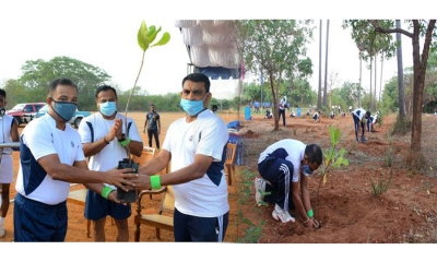 නාවික හමුදාව කජු පැළ සිටුවීමේ ව්‍යාපෘතියක් අරඹයි