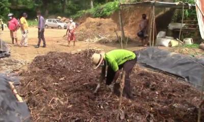 ගොවීන්ට, අති‍රික්ත පොහොර අලෙවියෙන් අමතර ආදායමක්....(වීඩියෝ)