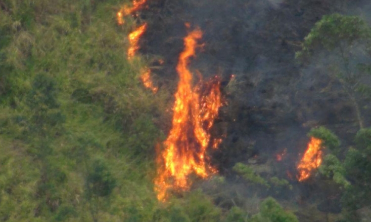 සෙන්ක්ලෙයාර් රක්‍ෂිතයේ  ගින්නක්