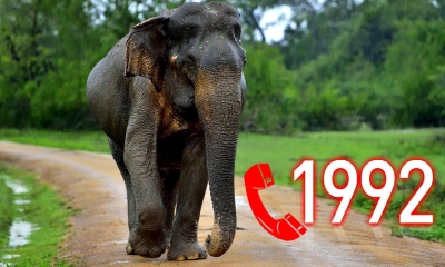 අලි මිනිස් ගැටලු ඇත්නම් 1992ට කියන්න