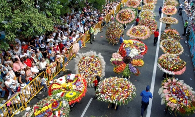 ඇස් බැඳගන්න මෙඩෙලින් නුවර මල්