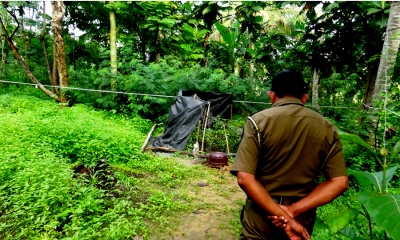 පෙම්වතිය සැගෙව්වාට පෙම්වතා කළ දේ