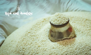 අලුත් සහල් මංගල්‍යය අදින් ඇරඹේ