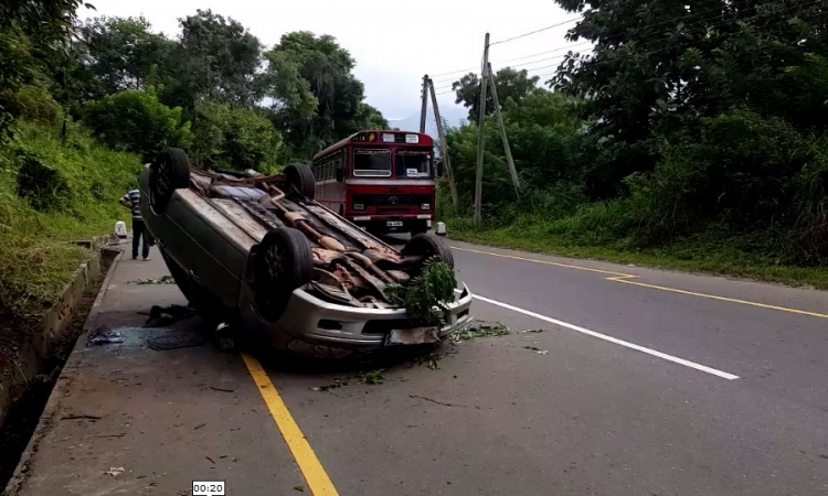 වල් ඌරු රංචුවක් මෝටර් රථයක් පෙරලයි