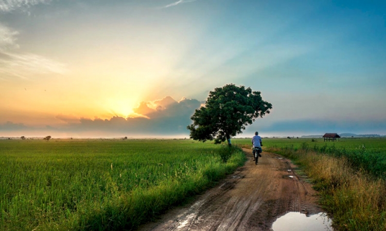 අද වැසි රහිත කාලගුණයක්