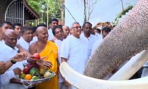 ජනාධිපති ගෝඨාභය කෝට්ටේ රජමහා විහාරස්ථානය වෙත පැමිණ ආශිර්වාද ලබාගනී (වීඩියෝ)