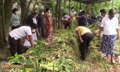 කාබනික පොහොර භාවිතයට ගොවීන් දැඩි නැඹුරුවක්....(වීඩියෝ)