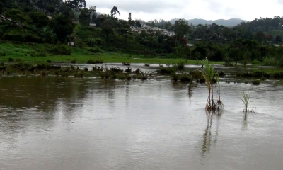 කෙසෙල්ගමුඔය පිටාර යයි