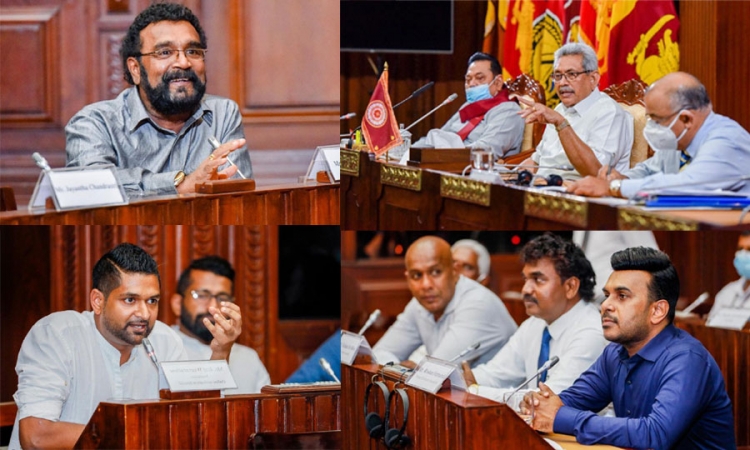 කලාකරුවා දේශීය ආර්ථිකයට බද්ධ කොට රැකගැනීමට  සහාය වනවා...ජනපති