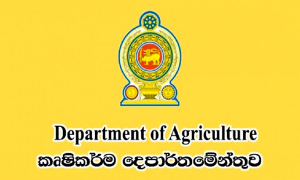 ඉන්දියාවේ සිට නැනෝ නයිට්‍රිජන් දියර පොහොර අද මෙරටට