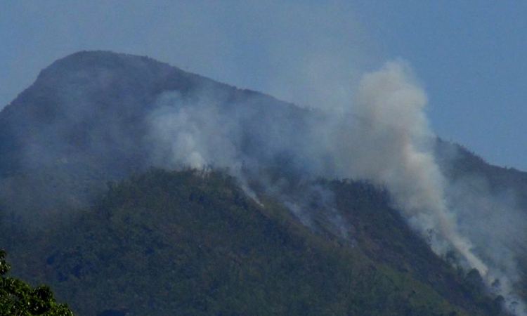 ආගරපතන කන්ඳෙ ගින්නක්