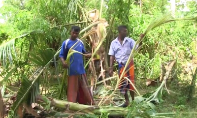 වන අලි හේතුවෙන්‌ බකමුණ, ගඟඟේයාය ජනතාව දැඩි අසීරුතාවක