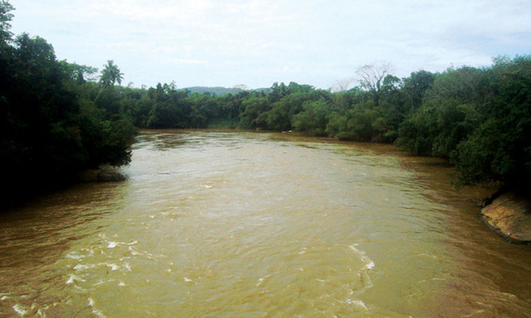 ගංඟා රැසක් පිටාර මට්ටමට