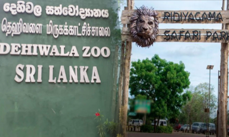 දෙහිවල සත්වෝද්‍යානය සහ රිදියගම සෆාරි උද්‍යානය යළි විවෘත කෙරේ