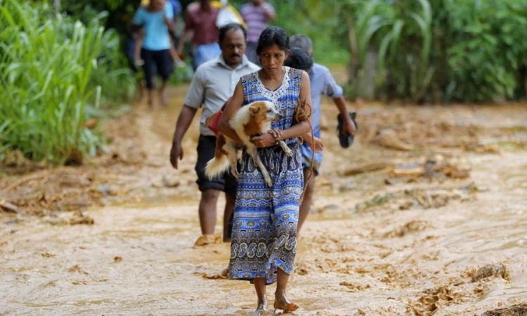 දිස්ත්‍රික්ක 5කට නාය අනතුරු ඇඟවීම්..පවුල් 1475ක් පීඩාවට (වීඩියෝ)