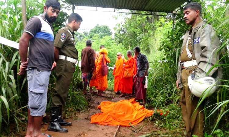 වනඅලි පහරදීමකින් සිල්මාතාවක් අපවත් වෙයි